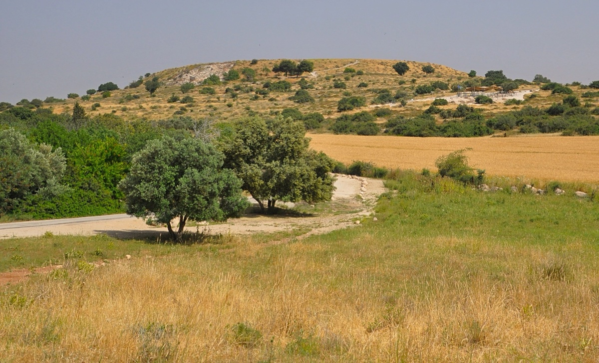 Image 1: Tel Mareshah