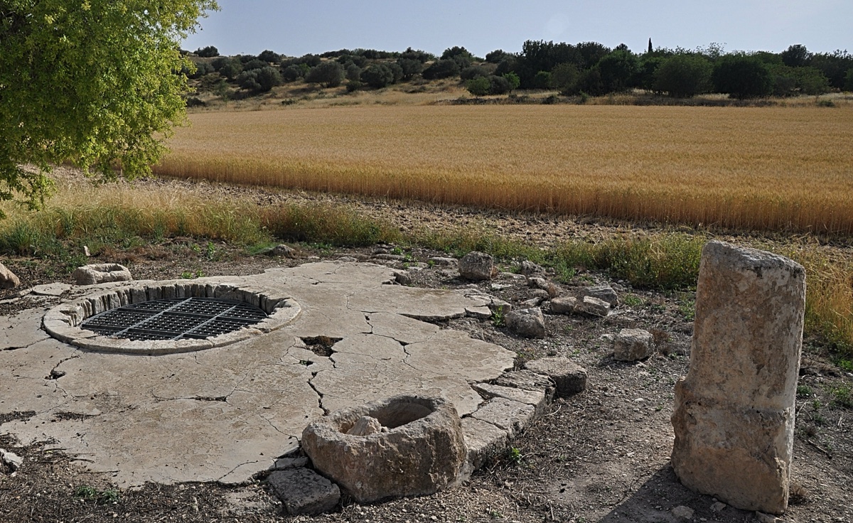 Image 2: Ancient Well and Milestone at Mareshah. Field of Wheat in Background.